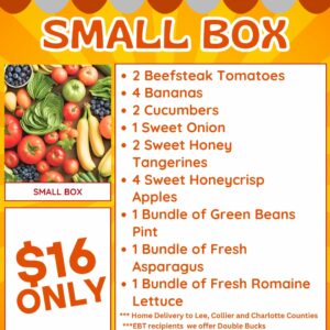 Small Box