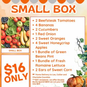 Small Box