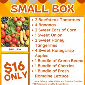 Small Box