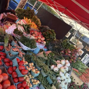 Combo Box Subscription Bi Monthly