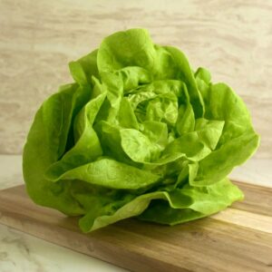 Butter Lettuce