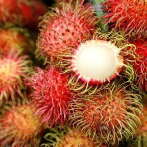 Rambutan Pack