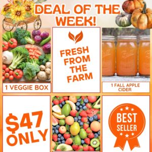 Deal Of The Week Plus 1 Fall Apple Cider