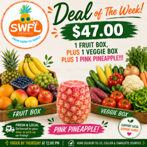 Deal Of The Week Plus 1 PINK Pineapple!!!