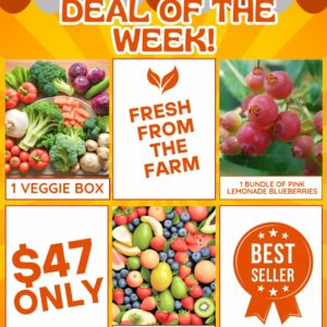 Deal of The Week With Plus A Bundle of PINK Lemonade Blueberries !!!!!!