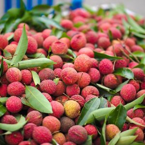 Exotic Fruit Box