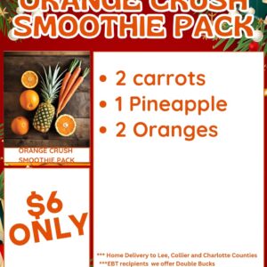 Orange Crush Smoothie