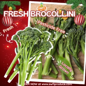 Broccolini Bundle