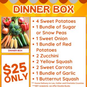 Dinner Box