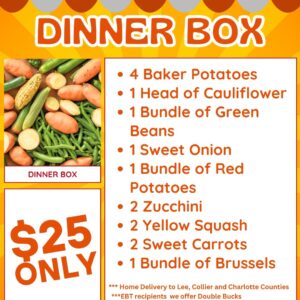 Dinner Box