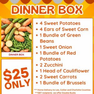 Dinner Box