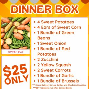Dinner Box