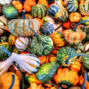 Star Gourds