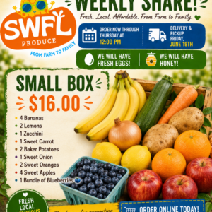 Small box