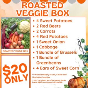 Roasted Veggie Box