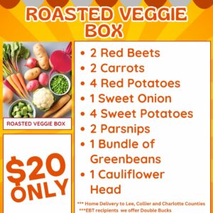 Roasted Veggie Box
