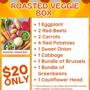 Roasted Veggie Box