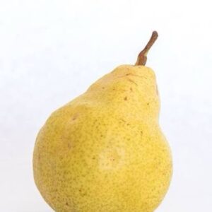 Pear Sampler Pack