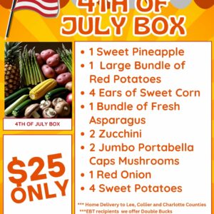 4th of July Box