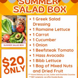 Summer Salad Box