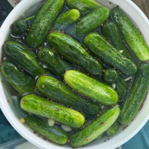 Half Sour Pickles
