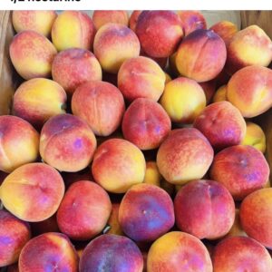 Peacharine Pack