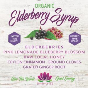 Pink Lemonade Blueberry Elderberry Syrup