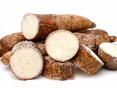Yucca