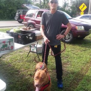 Prince Dog Food Box 💕