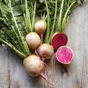 Organic Watermelon Radish