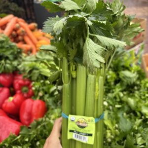 Organic Celery