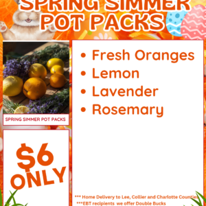 Spring Simmer Pot packs