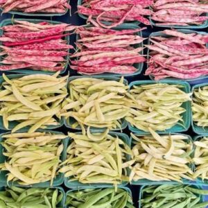 Colorful  Bean Basket
