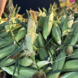 Sweet Corn Pack