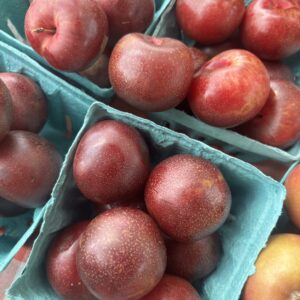 Plum Case