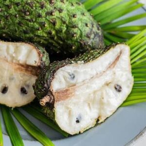 Sour Sop