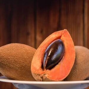 Mamey Fruit
